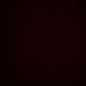 Meet your Posher, Lily